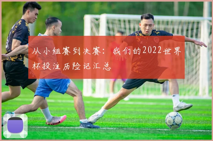 从小组赛到决赛：我们的2022世界杯投注历险记汇总