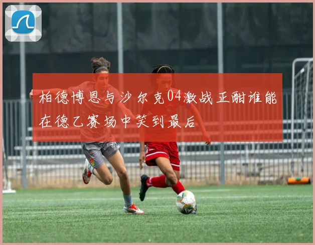 柏德博恩与沙尔克04激战正酣谁能在德乙赛场中笑到最后